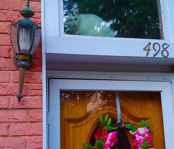 498 Middlesex Tpke, Billerica, MA 01821