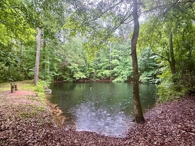 2125 Brown Road, Hephzibah, GA 30815