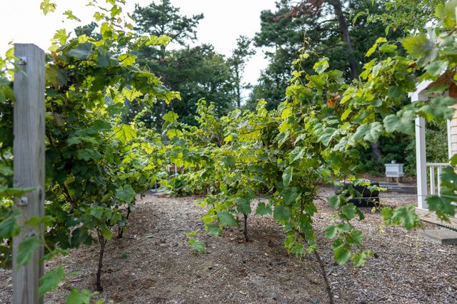 85 Jennie Clark Road, Eastham, MA 02642
