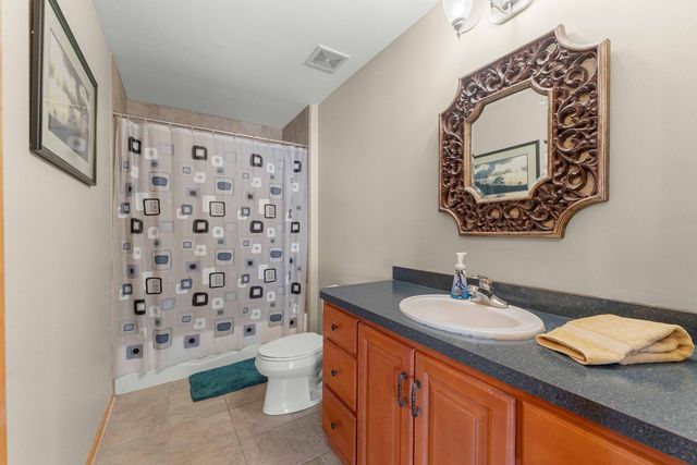21332 Windy Hill Drive, Frankfort, IL 60423