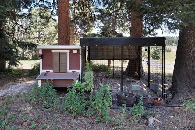 8171 S Homesteader Drive, Morrison, CO 80465