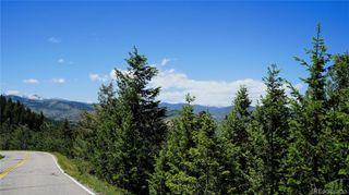 000 Saddleback Drive, Evergreen, CO 80439