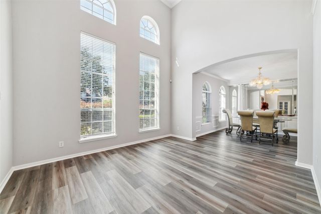 16602 Blue Vista Drive, Houston, TX 77095