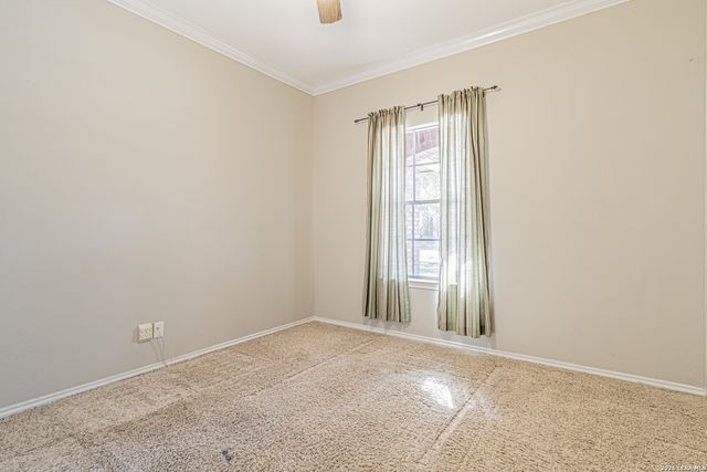 5903 Cedar Path, San Antonio, TX 78249