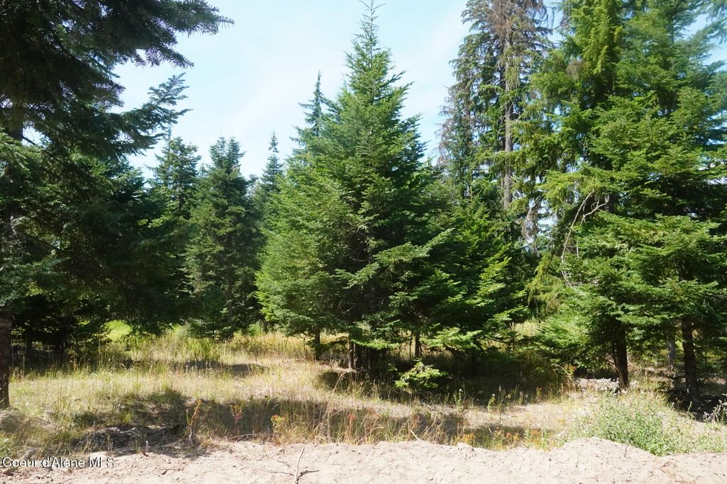 Rivendell LN, Hayden Lake, ID 83835
