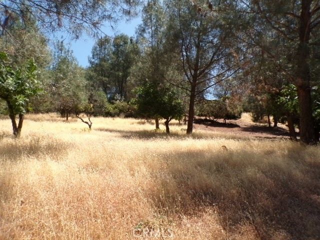 10318 Hok Has Ha Lane, Kelseyville, CA 95453