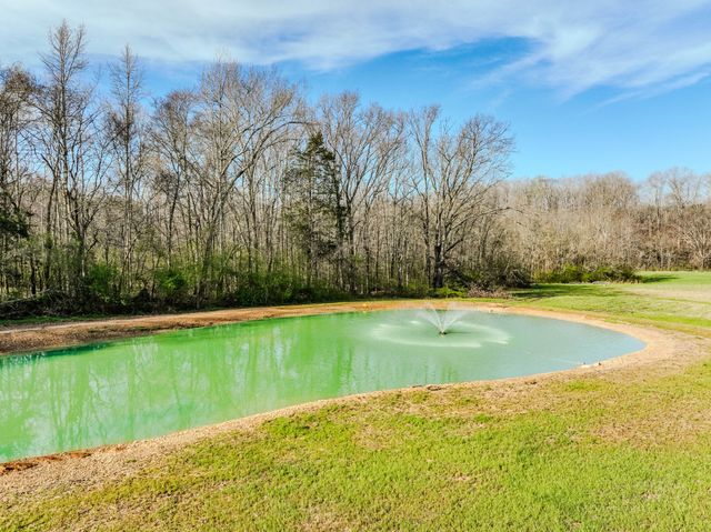 109 Rascaltown Rd, Loretto, TN 38469