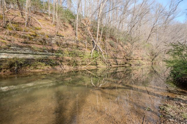 109 Rascaltown Rd, Loretto, TN 38469