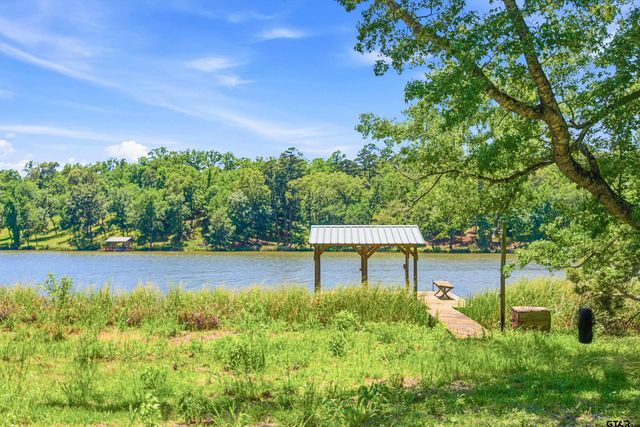 3153 AN COUNTY ROAD 319, Frankston, TX 75763