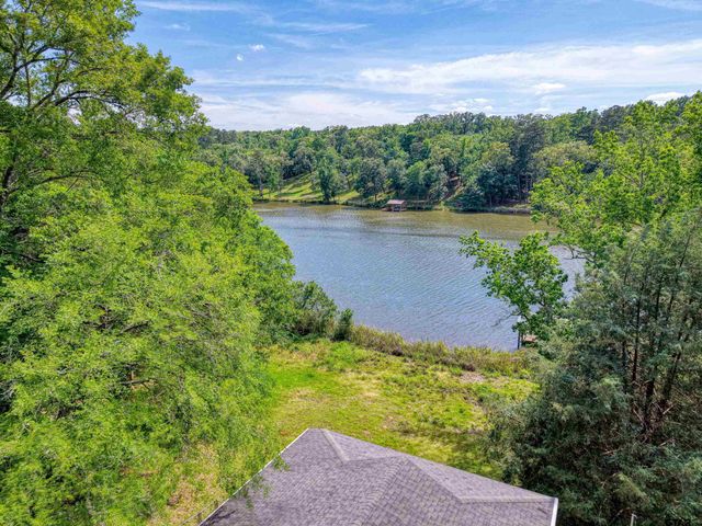 3153 AN COUNTY ROAD 319, Frankston, TX 75763