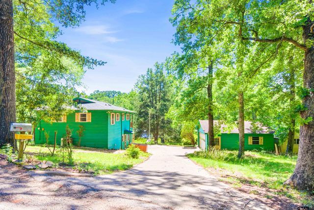 3153 AN COUNTY ROAD 319, Frankston, TX 75763
