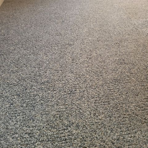 548 E US Highway 69, Point, TX 75472