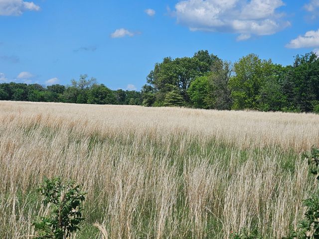 Lot 1 CR 3609, Edgewood, TX 75117