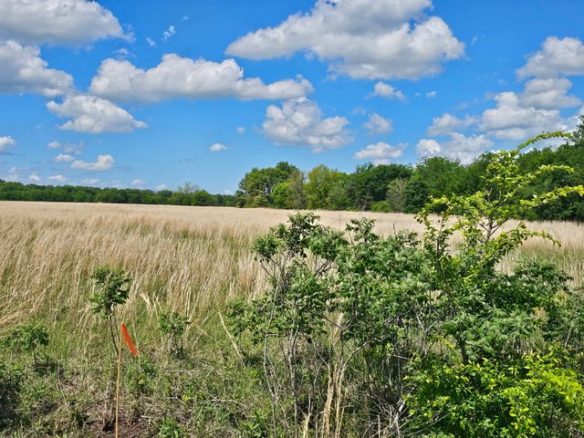 Lot 1 CR 3609, Edgewood, TX 75117