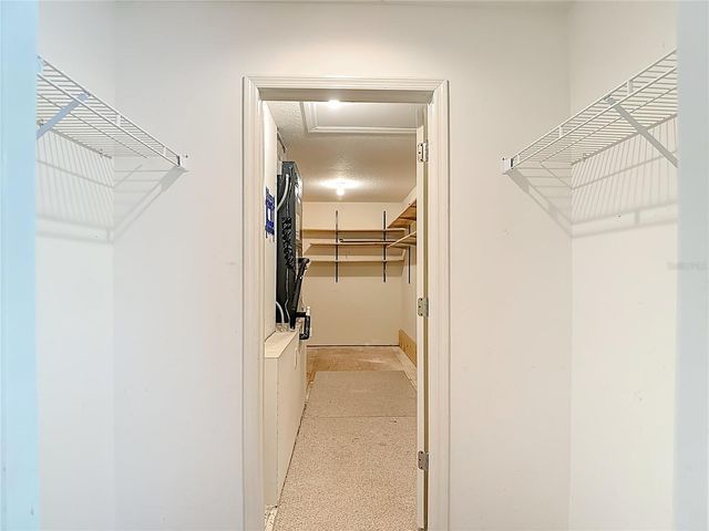 8708 BAY LAUREL COURT, Tampa, FL 33647