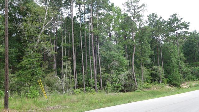 215 Grey Feather Road, Huntsville, TX 77340