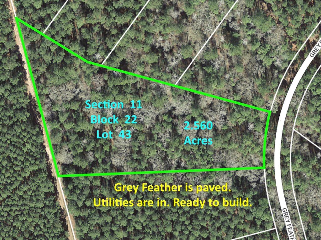 215 Grey Feather Road, Huntsville, TX 77340