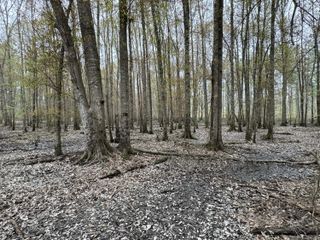 0 MS-15, Ellisville, MS 39437