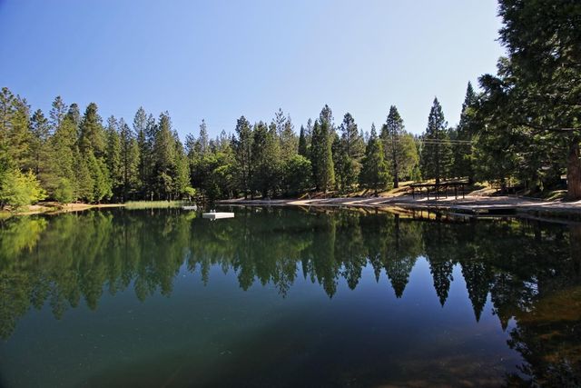 2567 Murphys Dr, Arnold, CA 95223