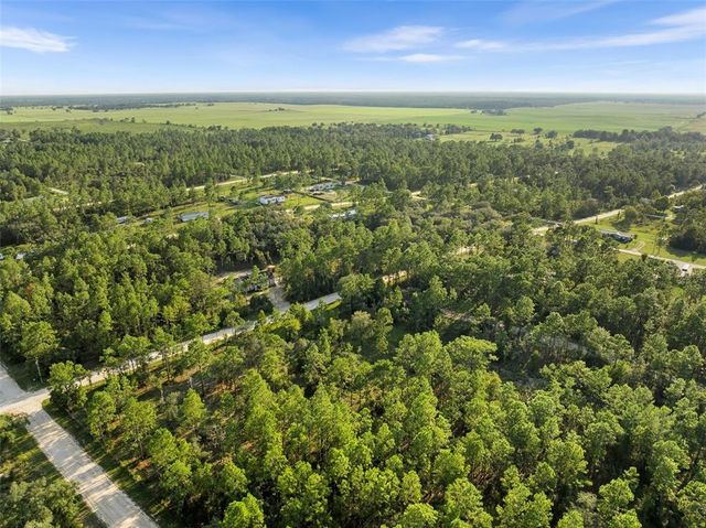 NONE, Williston, FL 32696
