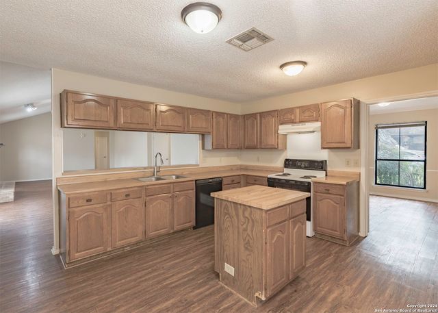 13722 PEBBLE POINT DR, San Antonio, TX 78231