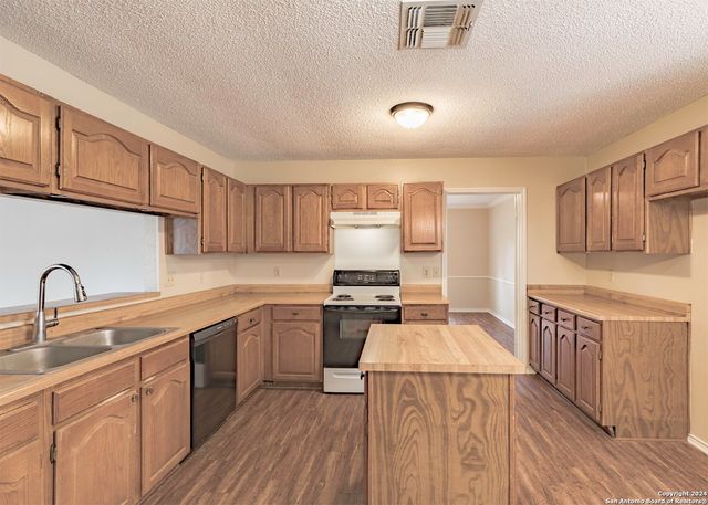 13722 PEBBLE POINT DR, San Antonio, TX 78231