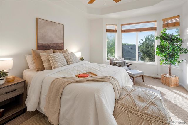 519 Stafford Circle, Castle Rock, CO 80104