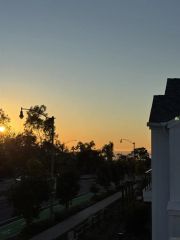 1105 Catania Court 201, Encinitas, CA 92024