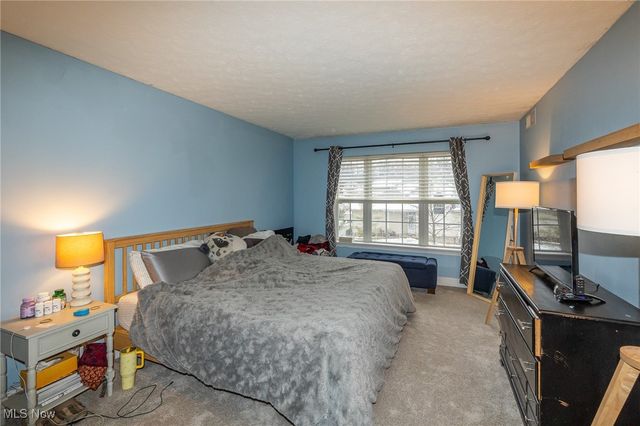 5250 Whispering Oaks Boulevard C1, Parma, OH 44134