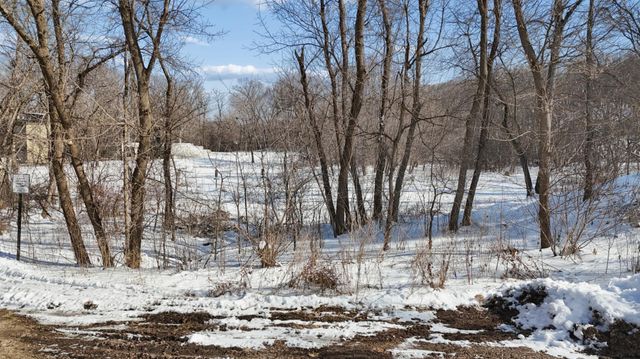 445 Bovey Road, Wayzata, MN 55391