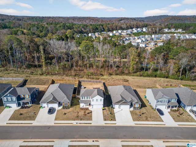 200 ARCHERS BROOK DRIVE, Springville, AL 35146