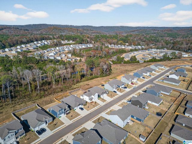 200 ARCHERS BROOK DRIVE, Springville, AL 35146