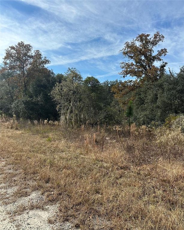 Lot 26 SE 133RD AVENUE, Dunnellon, FL 34434