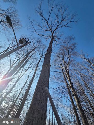 8004 GRACIE DR, Manassas, VA 20112