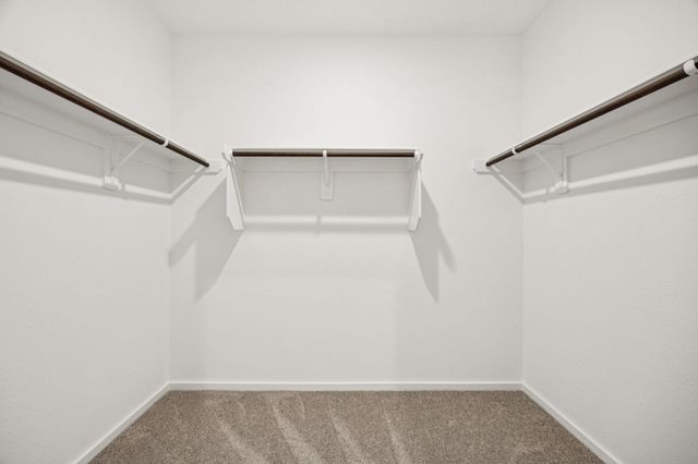 26255 Arrowleaf Drive, Magnolia, TX 77355