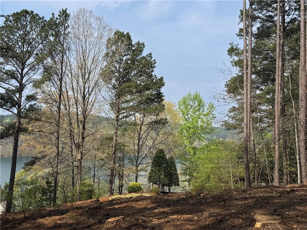 A75 Deep Cove Court, Sunset, SC 29685