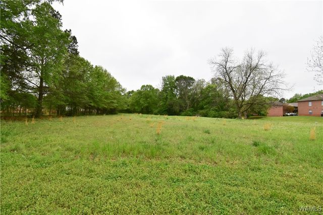 6908 Old Greensboro, Tuscaloosa, AL 35405