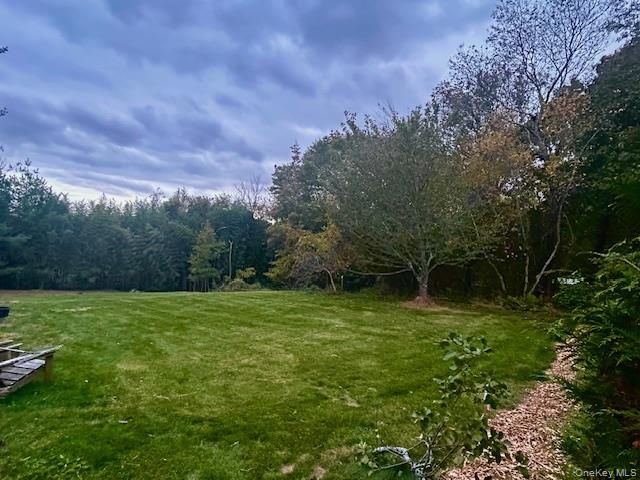 Lot D Merritts Path, Rocky Point, NY 11778