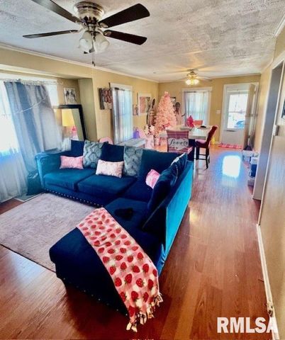 1207 W MCCLURE Avenue, Peoria, IL 61604