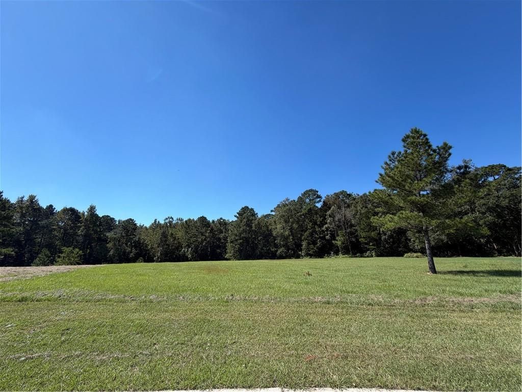 169 Mount Pleasant Boulevard, Fairhope, AL 36532 — exterior