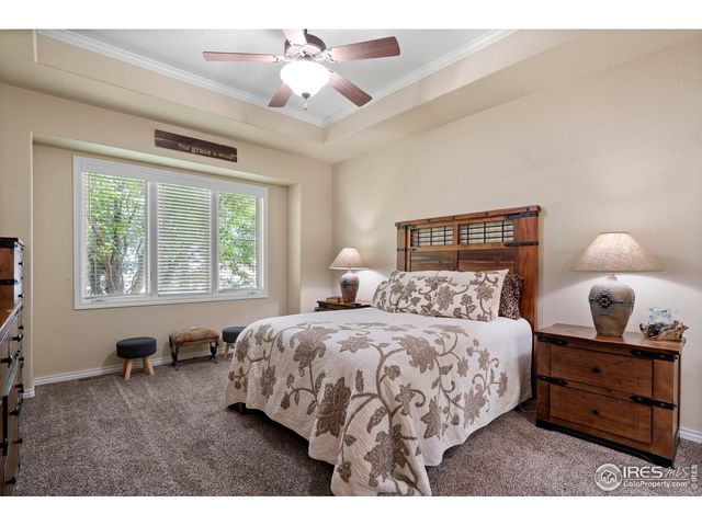 1591 Landon Ct, Windsor, CO 80550