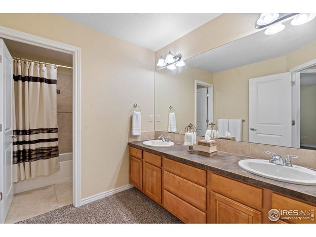 1591 Landon Ct, Windsor, CO 80550