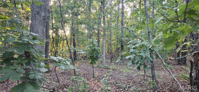 77 County Road 6020, Salem, MO 65560