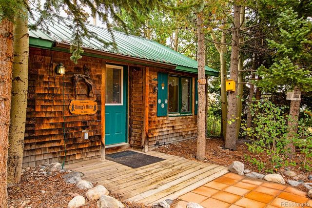 46 Singleton Road, Alma, CO 80420