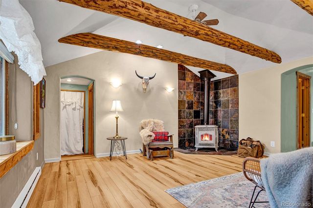 46 Singleton Road, Alma, CO 80420