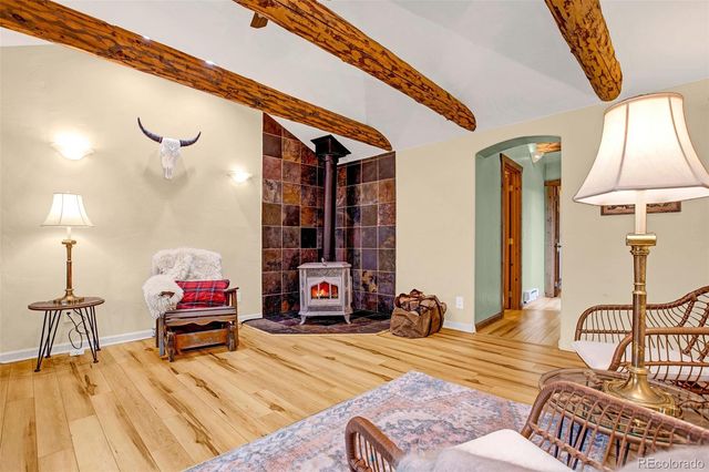 46 Singleton Road, Alma, CO 80420