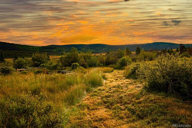 46 Singleton Road, Alma, CO 80420