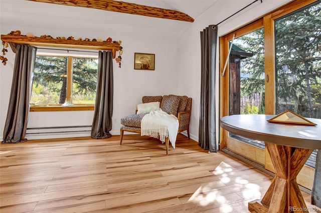 46 Singleton Road, Alma, CO 80420