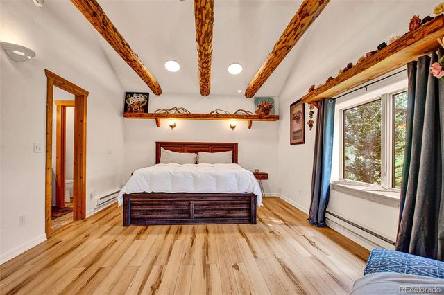 46 Singleton Road, Alma, CO 80420