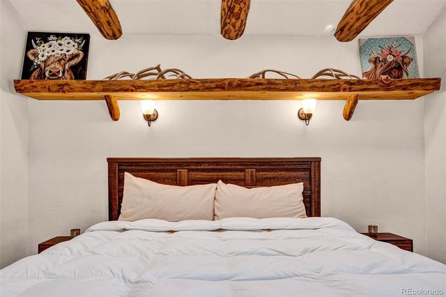 46 Singleton Road, Alma, CO 80420